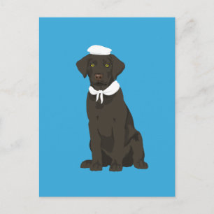 Will The Brown Labrador Retriever Postcard