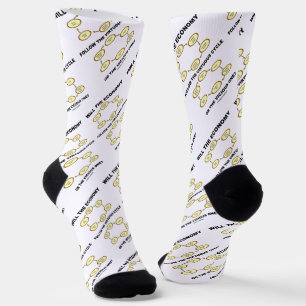 Will The Economy Follow The Virtuous Cycle Vicious Socks