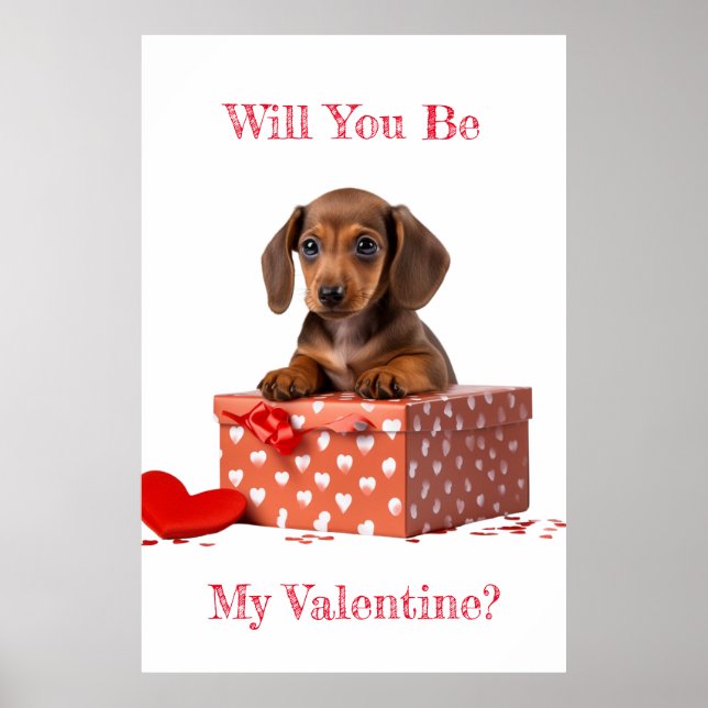 Will You Be My Valentine Dachshund Red Box Poster (Front)