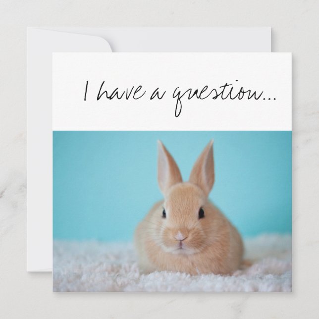 Will You be the GodParent Proposal Brown Bunny Card (Front)