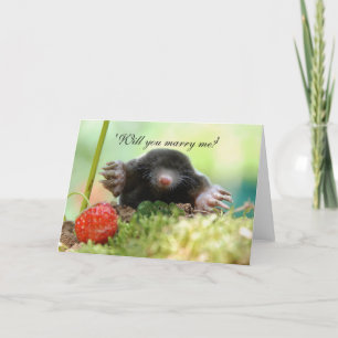 'Will you marry me?' Card