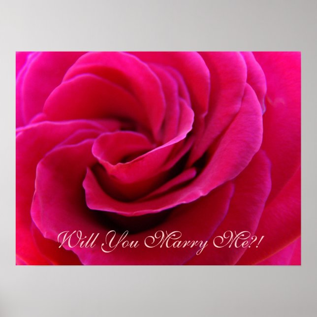 Will You Marry Me?! Pink Rose art print Weddings (Front)