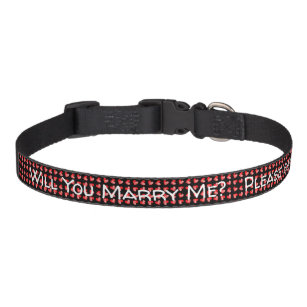 Will you marry me? Proposal dog collar