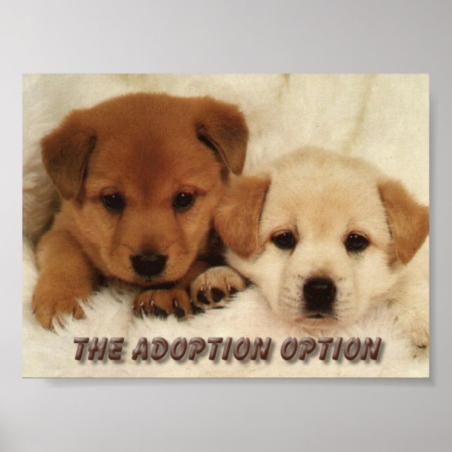 Will you wait to adopt an animal? poster (Front)