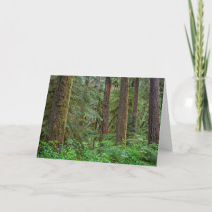 Willamette National Forest   Oregon Card