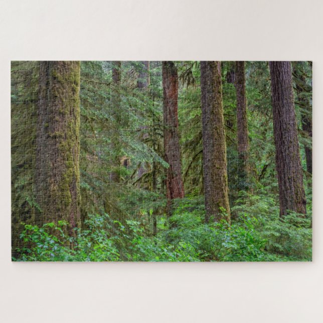 Willamette National Forest | Oregon Jigsaw Puzzle (Horizontal)