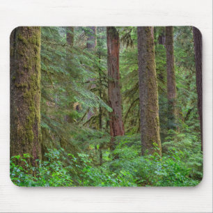 Willamette National Forest   Oregon Mouse Mat