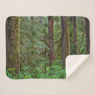 Willamette National Forest Oregon Sherpa Blanket