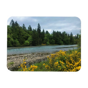 Willamette River, Elijah Bristow State Park, OR Magnet