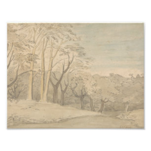 William Blake - A Woody Landscape Photo Print