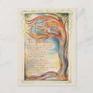 William Blake "The Blossom" Postcard