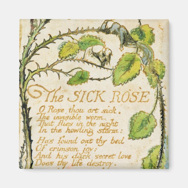 William Blake | The Sick Rose, from Songs of Innoc Magnet (Front)