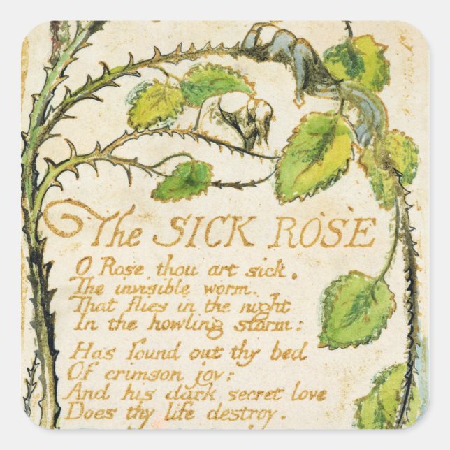 William Blake | The Sick Rose, from Songs of Innoc Square Sticker (Front)
