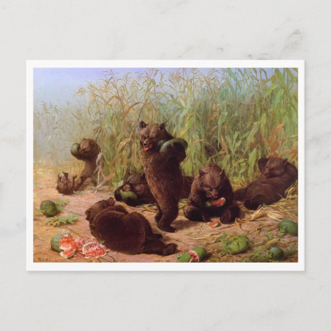 William H. Beard, Bears in the Watermelon Patch Postcard (Front)