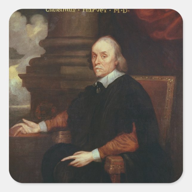 William Harvey  Royal physician, 17th century Square Sticker (Front)