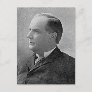 William McKinley Postcard