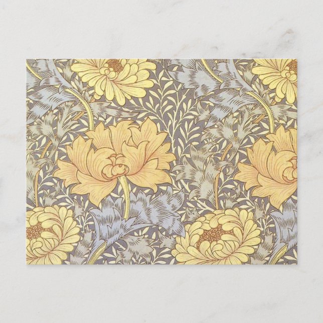 William Morris Chrysanthemum Mum Flowers Postcard (Front)
