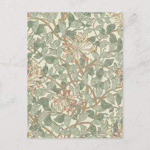 William Morris Honeysuckle Flower Wallpaper Postcard