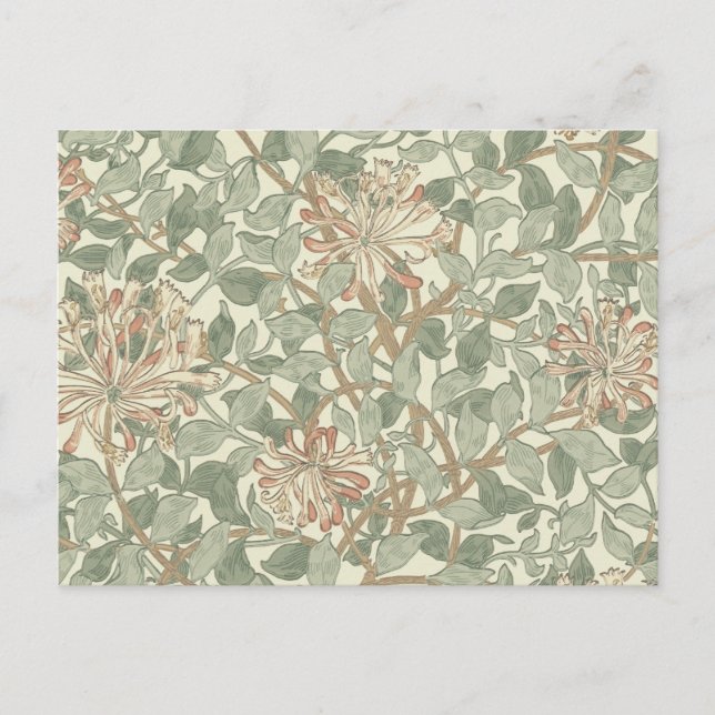 William Morris Honeysuckle Green Floral Postcard (Front)