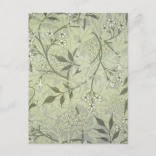 William Morris Jasmine Botanical Vintage Antique Postcard