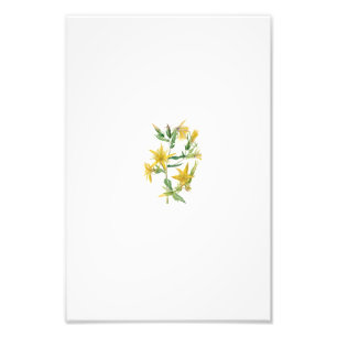 william morris photo print