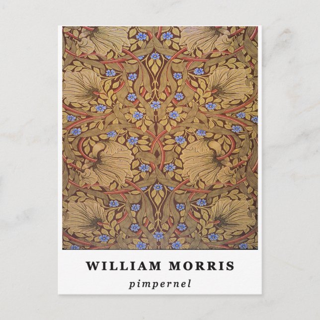  William Morris Pimpernel Postcard (Front)