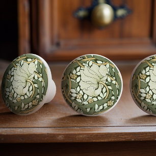 William Morris Pimpernel Vintage Pattern Ceramic K Knob