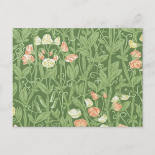 William Morris Sweet Pea Pattern Vintage Botanical Postcard