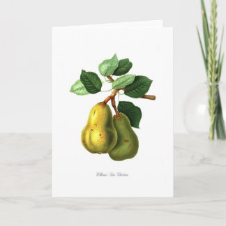 Williams Bon Chretien pear Card