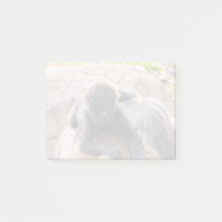 Willie B III at Zoo Atlanta (2023) Post-it Notes