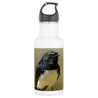Willie Wagtail 532 Ml Water Bottle
