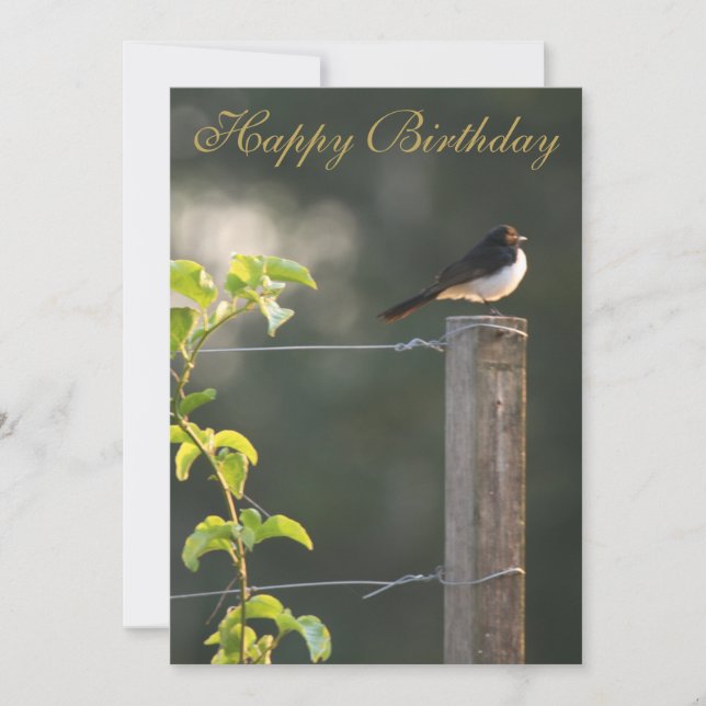 Willie Wagtail Happy Birthday (Front)