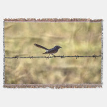 WILLIE WAGTAIL ON FENCE QUEENSLAND ART EFFECTS