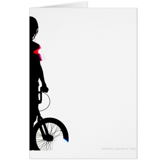 WillieBMX The One (Front)