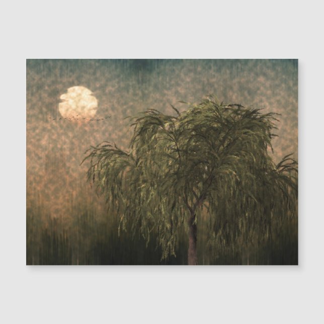 Willow at Sunset (Front)