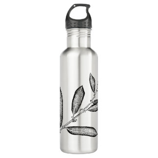 WIllow branch 710 Ml Water Bottle