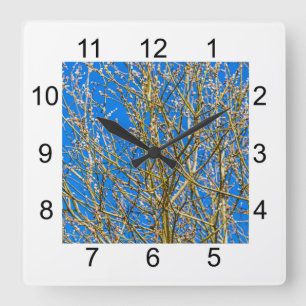 Willow buds - Morning Of Spring Square Wall Clock