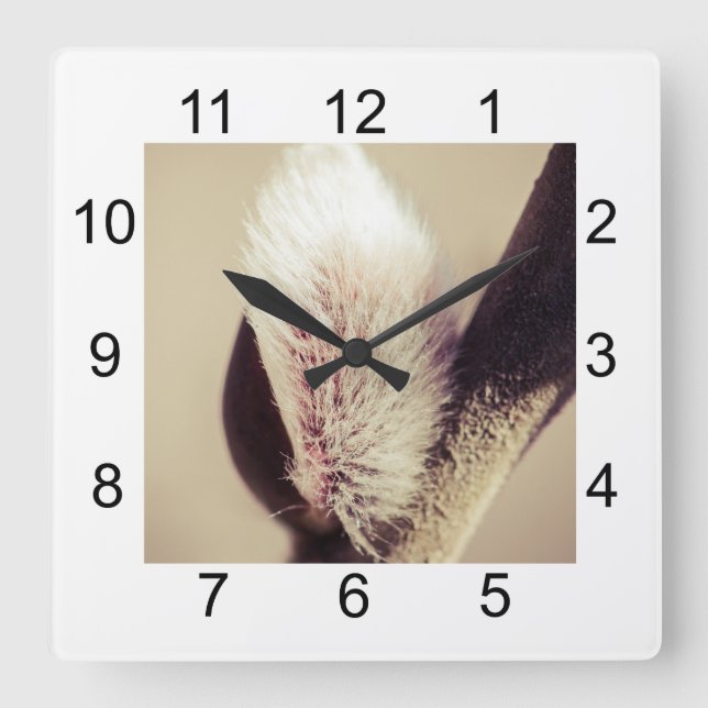 Willow buds - Thrust Of New Life Square Wall Clock (Front)