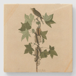 Willow Flycatcher - Audubon's Birds of America Stone Coaster