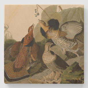 Willow Grous (Grouse) - Audubon's Birds of America Stone Coaster