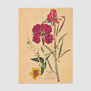 Willow Herb by Charles Mackintosh Tissue Paper