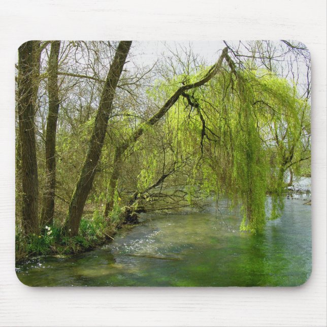 Willow on the River Test Hampshire Mouse Mat (Front)