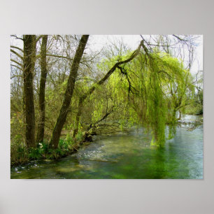 Willow on the River Test Poster