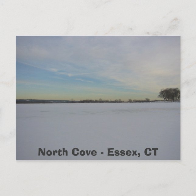 Willow Point Cove, North Cove - Essex, CT Postcard (Front)