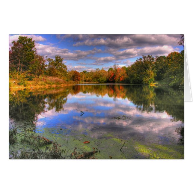 Willow Pond (Front Horizontal)