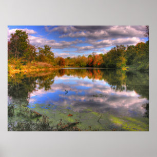 Willow Pond - Cherokee Park Poster