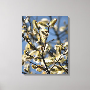 WILLOW TREE CANVAS PRINT
