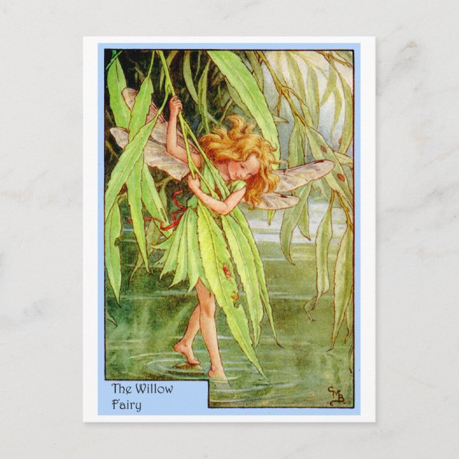 Willow Tree Fairy Postcard (Front)