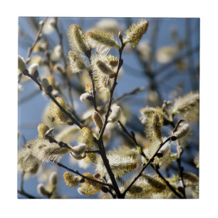 WILLOW TREE TILE