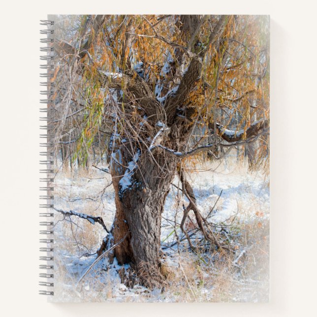 Willow Walking  Notebook (Front)